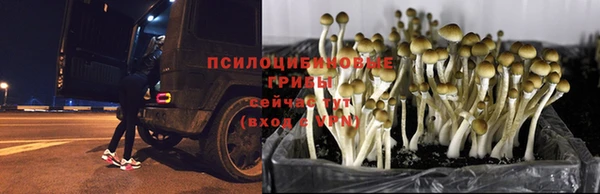 jwh Верея