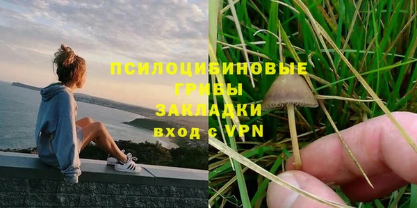 jwh Верея